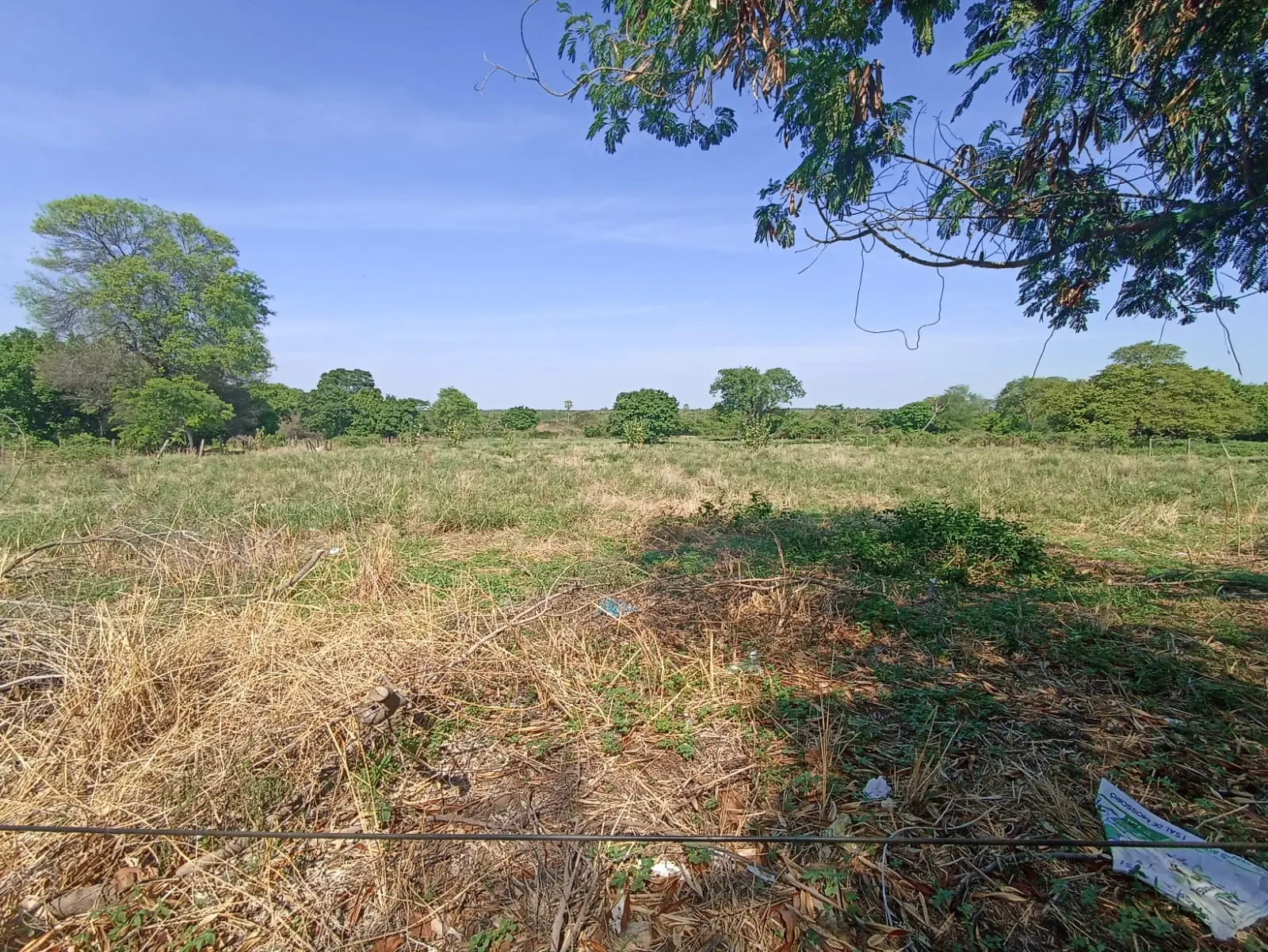 Foto 2 de Fazenda à Venda – 1.200 Hectares