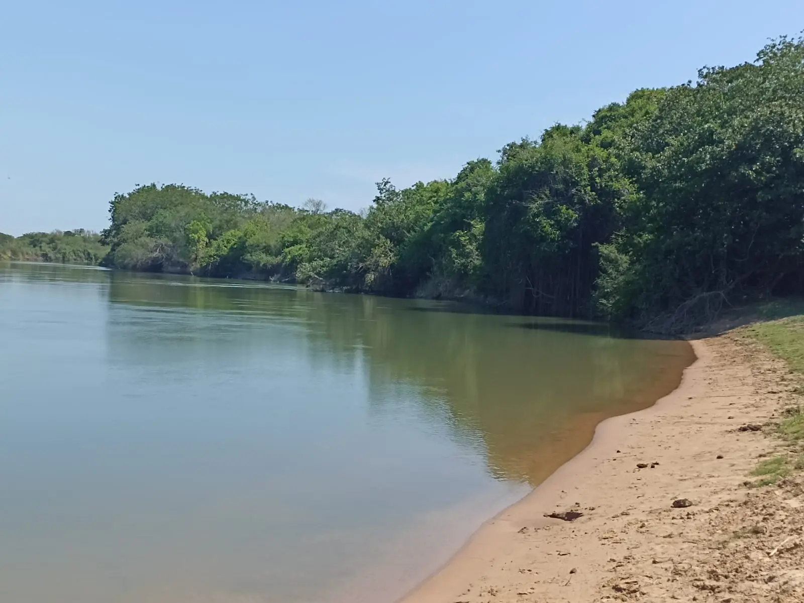 Fazenda à Venda – 1.200 Hectares