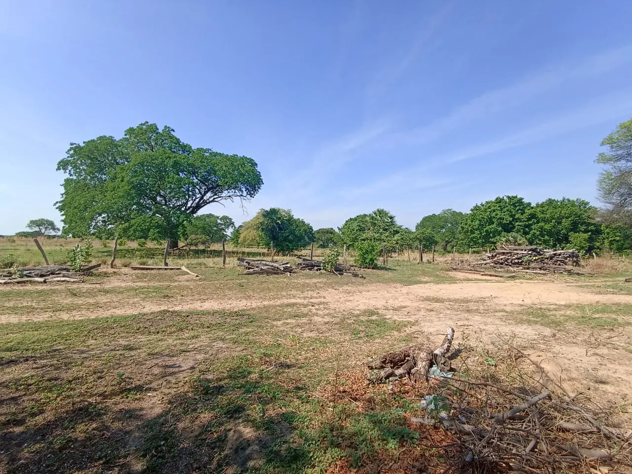 Foto 4 de Fazenda à Venda – 1.200 Hectares