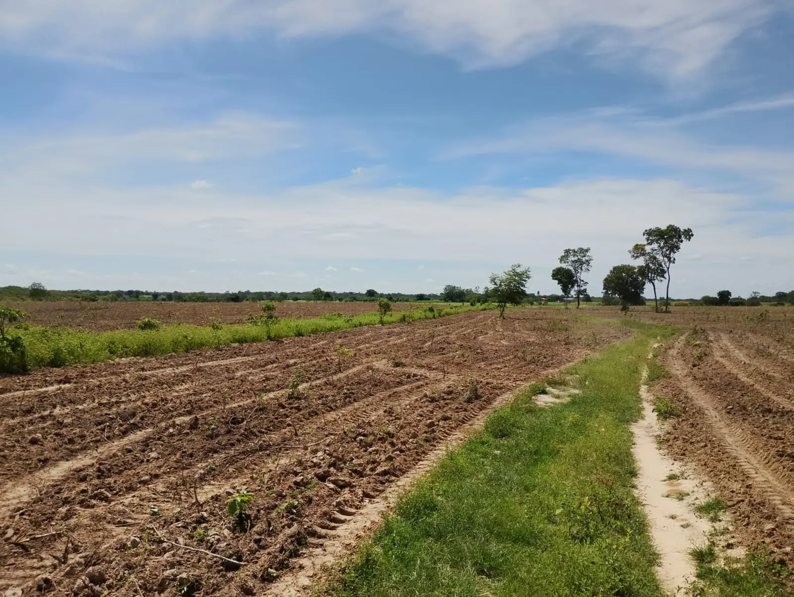 Foto 5 de Área de Terra – 800 Hectares – Riachão das Neves