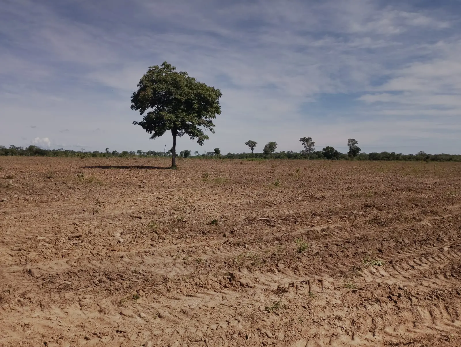 Área de Terra – 800 Hectares – Riachão das Neves