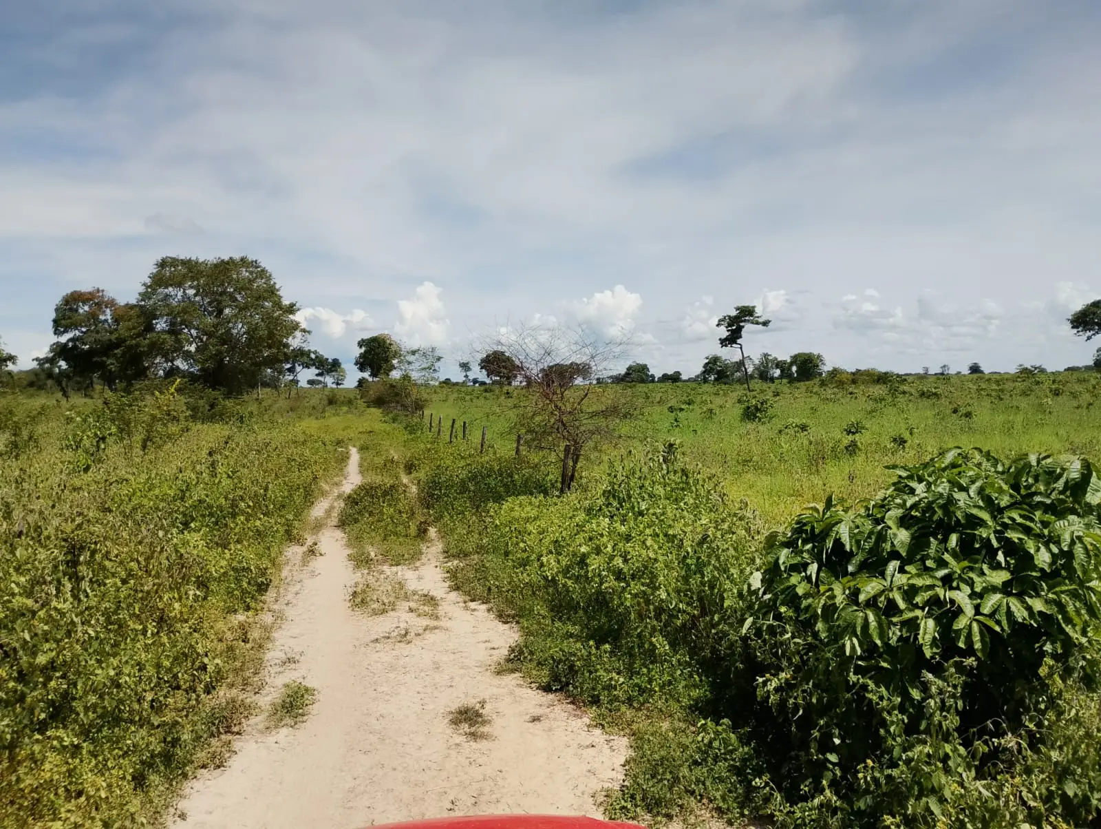 Foto 4 de Área de Terra – 800 Hectares – Riachão das Neves